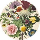 Still Life with Flowers