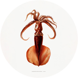 Still Life with Flowers