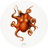 Still Life with Flowers