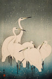 Ohara Koson - Group of Egrets