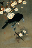 Ohara Koson - Of a Crow and Blossom