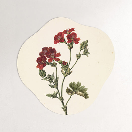 M. de Gijselaar - Rode Bloem