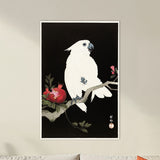 Ohara Koson - Cockatoo and Pomegranate