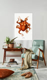 Carl Chun - Octopus